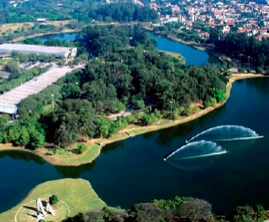 <p>PARQUE DO IBIRAPUERA</p>
